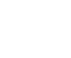 AL-IMMOBILIEN